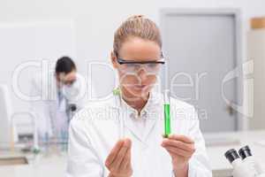 Scientist examining tubes
