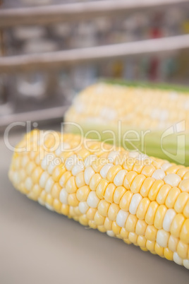 Corn on the cob