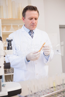 Food scientist looking at test tube with seeds