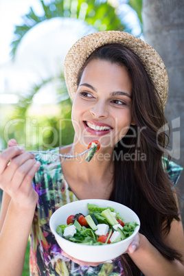 Smiling beautiful brunette having a picnic