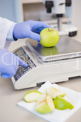 Scientist weighing apple