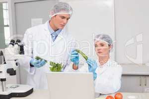 Scientists examining green pepper