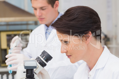 Scientists working with microscope and test tube