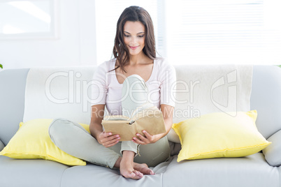 Smiling beautiful brunette relaxing and reading a book on the co
