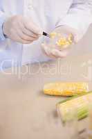 Scientist examining corn seeds in petri dish