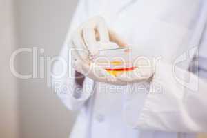 Scientist holding petri dish with orange fluid inside