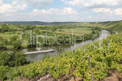 Flussschleife Neckar bei Mundelsheim, Deutschland.