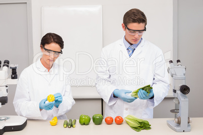 Scientists examining vegetables