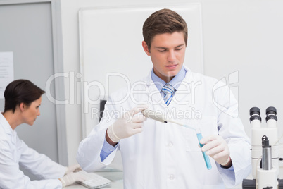 Scientists working attentively with test tube and computer Scientists working attentively with test tube and computer