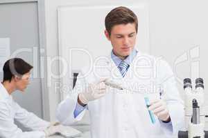 Scientists working attentively with test tube and computer