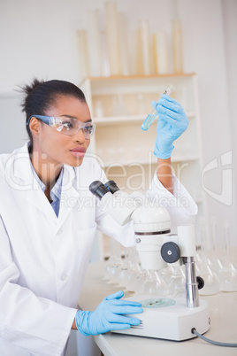 Scientist looking at test tube