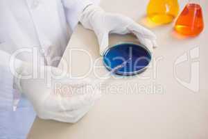 Scientist examining petri dish