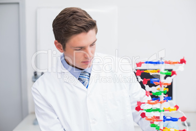 Scientist looking at dna model
