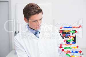 Scientist looking at dna model