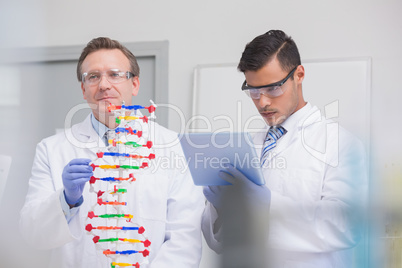 Scientists examining dna helix