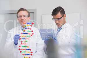 Scientists examining dna helix