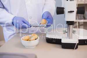 Scientist measuring potatoes