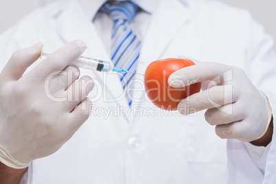 Scientist doing injection to tomato