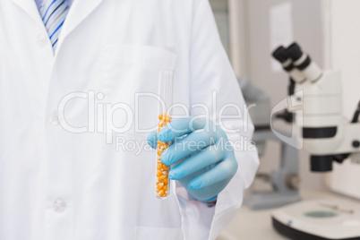 Scientist holding test tube with corn inside