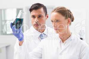 Concentrated scientists holding beaker with fluid