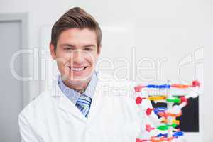 Scientist examining dna model and smiling at camera