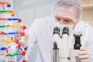 Scientist examining dna helix and looking in microscope