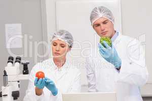 Scientists examining attentively green pepper and tomato