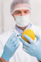 Scientist holding orange and injecting fluid with syringe