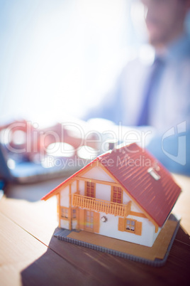 Estate agent using laptop at desk