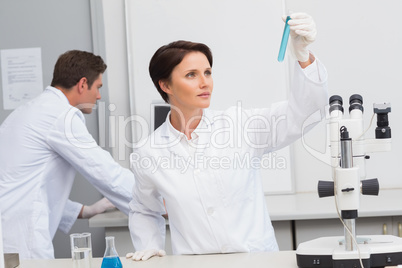 Scientists working attentively with test tube and computer