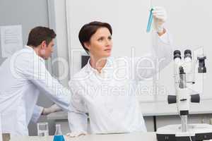 Scientists working attentively with test tube and computer