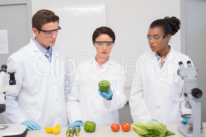 Scientists examining vegetables