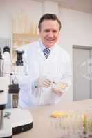 Smiling scientist examining corn seeds in petri dish