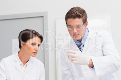 Scientists looking attentively at test tube