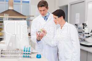 Scientists looking attentively at petri dish