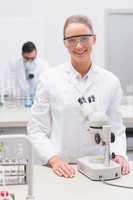 Scientist examining petri dish with microscope