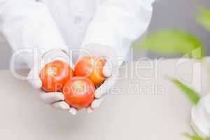 Scientist with protective gloves holding tomatoes