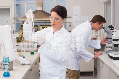 Scientists working attentively with test tube and microscope Scientists working attentively with test tube and microscope