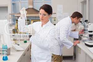 Scientists working attentively with test tube and microscope