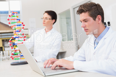 Scientist working attentively with laptop and another with dna m