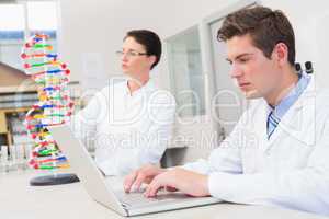 Scientist working attentively with laptop and another with dna m