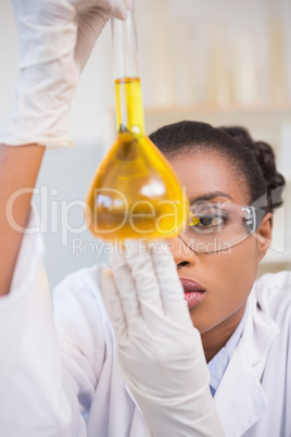 Scientist examining petri dish with orange fluid inside