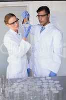 Concentrated scientists looking at beaker