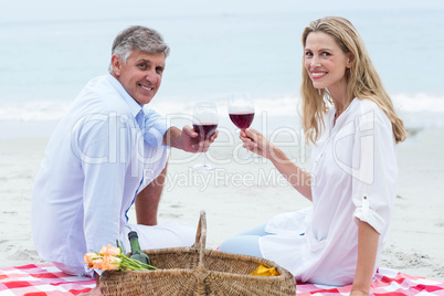 Happy couple toasting with red wine during a picnic