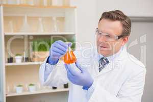 Scientist examining precipitate in flask