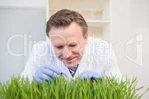 Happy scientist examining grass