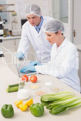 Scientists working with laptop and vegetables around them