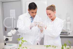 Scientist examining tubes