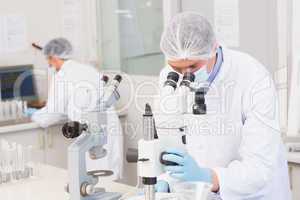 Scientists working attentively with microscopes