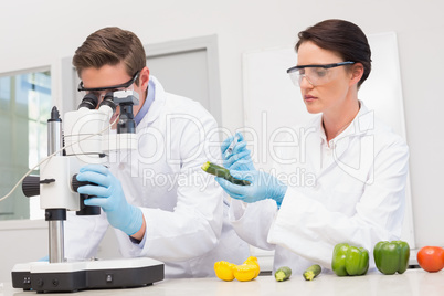 Scientists examining vegetables